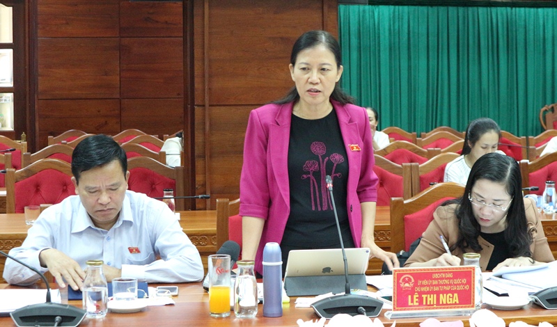 Giám sát việc thực hiện chính sách pháp luật về phòng, chống xâm hại trẻ em trên địa bàn tỉnh